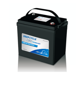 Drive Motion / Leoch LDCL6-224-GC2